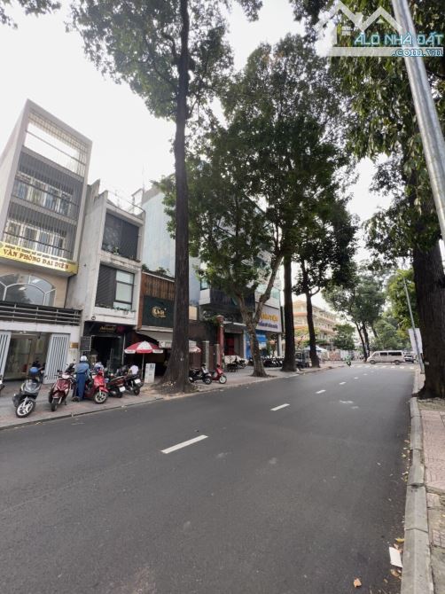 4064742 ảnh đại diện 2