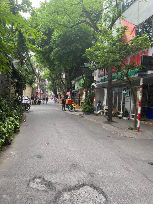 4062320 ảnh đại diện 2