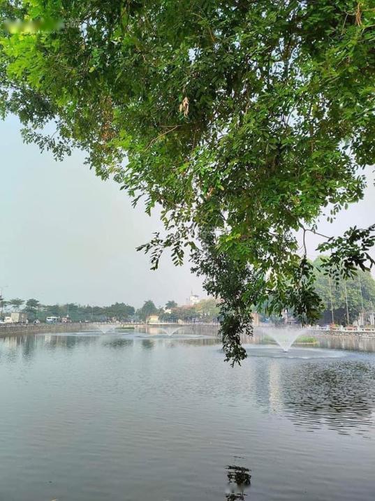4062396 ảnh đại diện 1