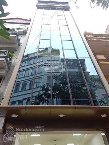 4062317 ảnh đại diện 1