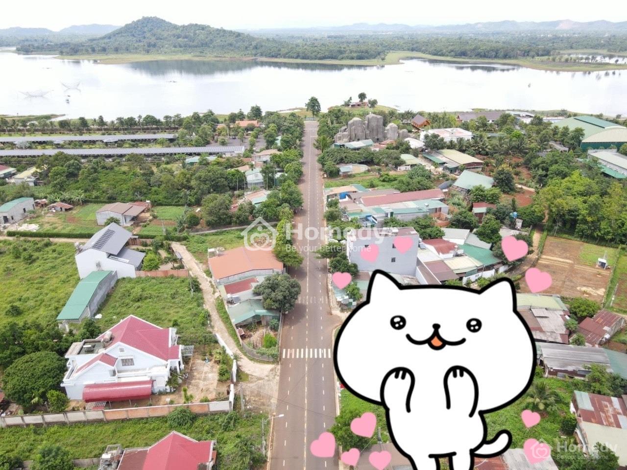 4068469 ảnh đại diện 1