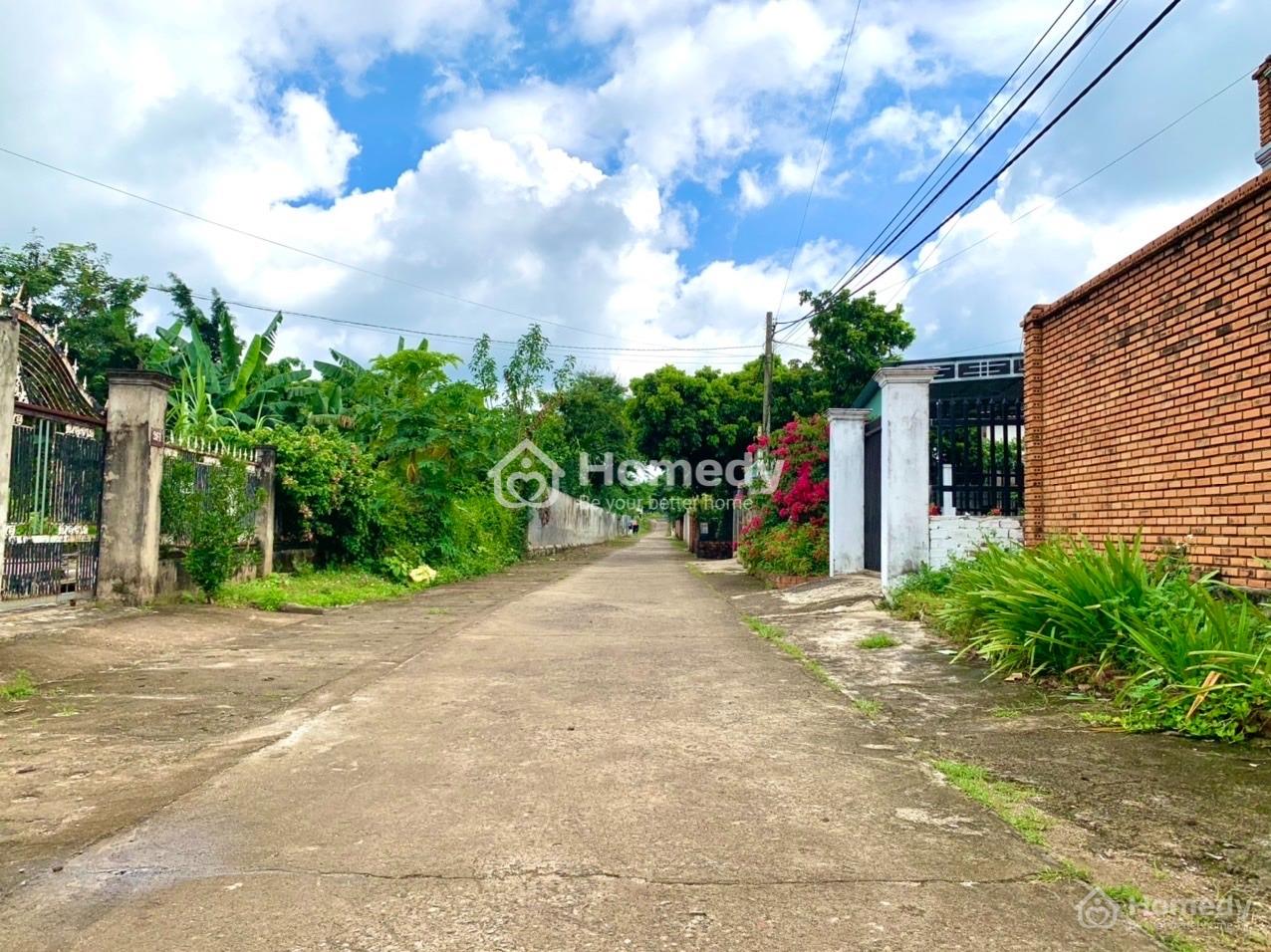 4068469 ảnh đại diện 2
