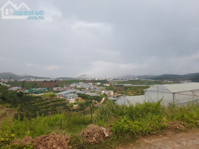 4067722 ảnh đại diện 1