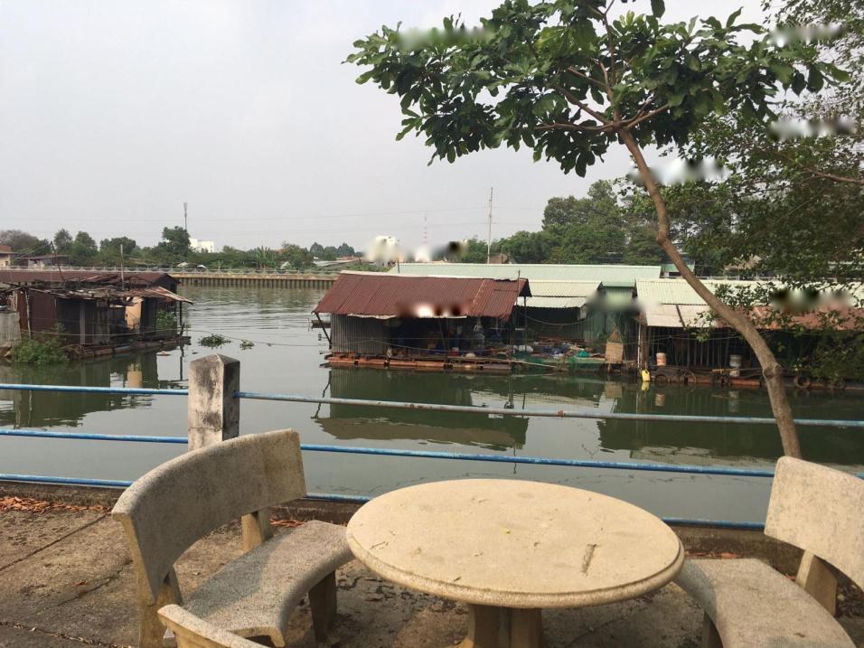 4070691 ảnh đại diện 1