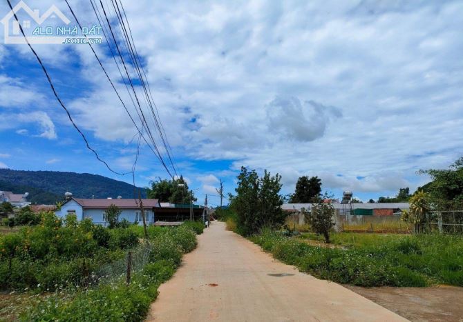 4067720 ảnh đại diện 1