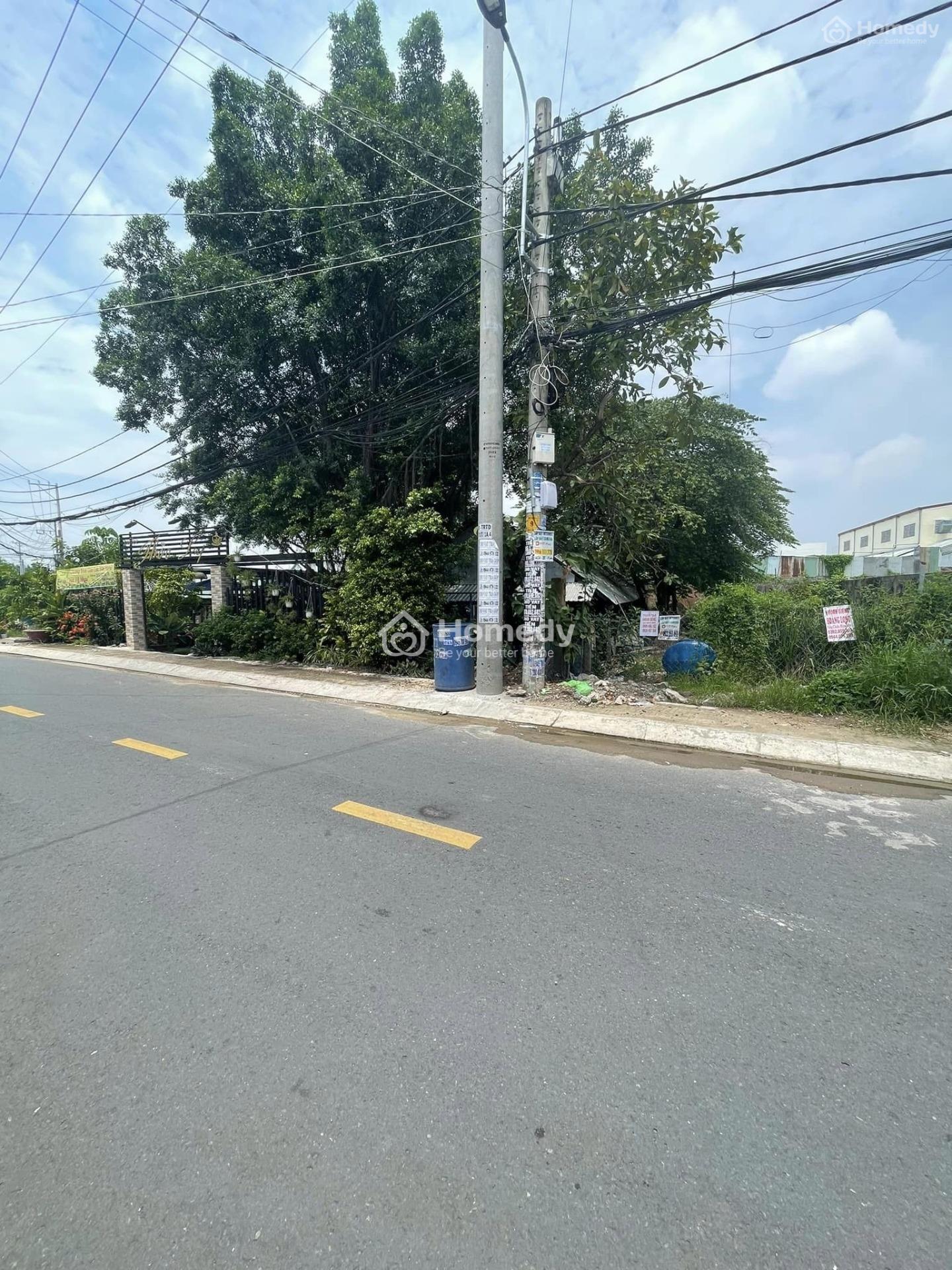 4068318 ảnh đại diện 2