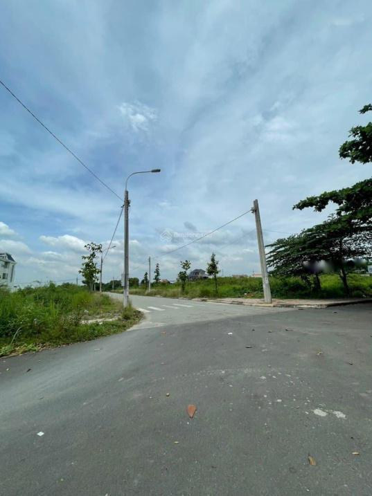 4070695 ảnh đại diện 1
