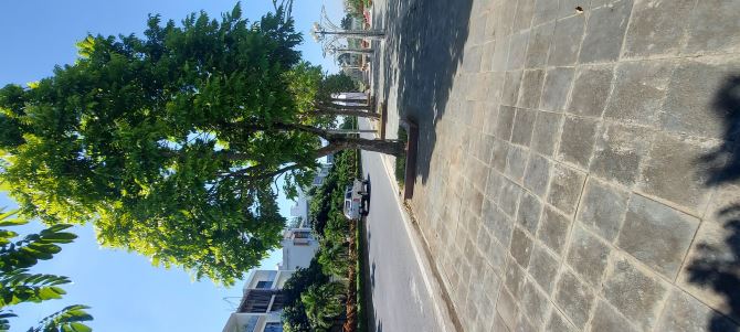 4069126 ảnh đại diện 1