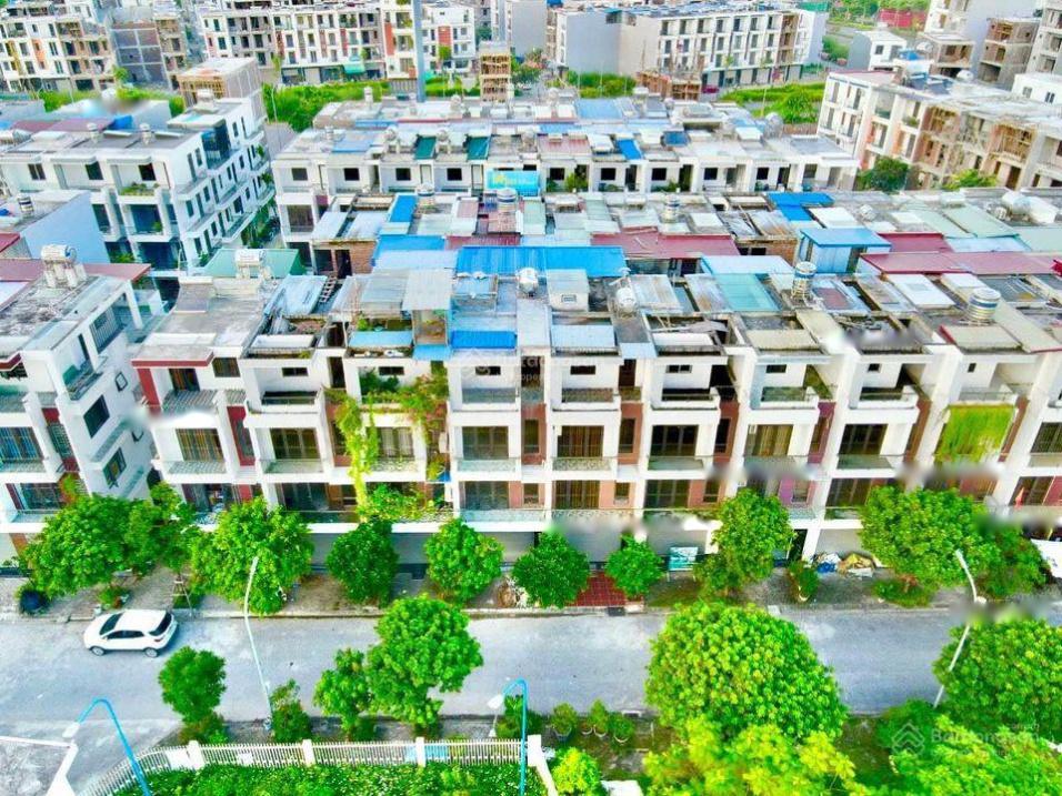 4065990 ảnh đại diện 2