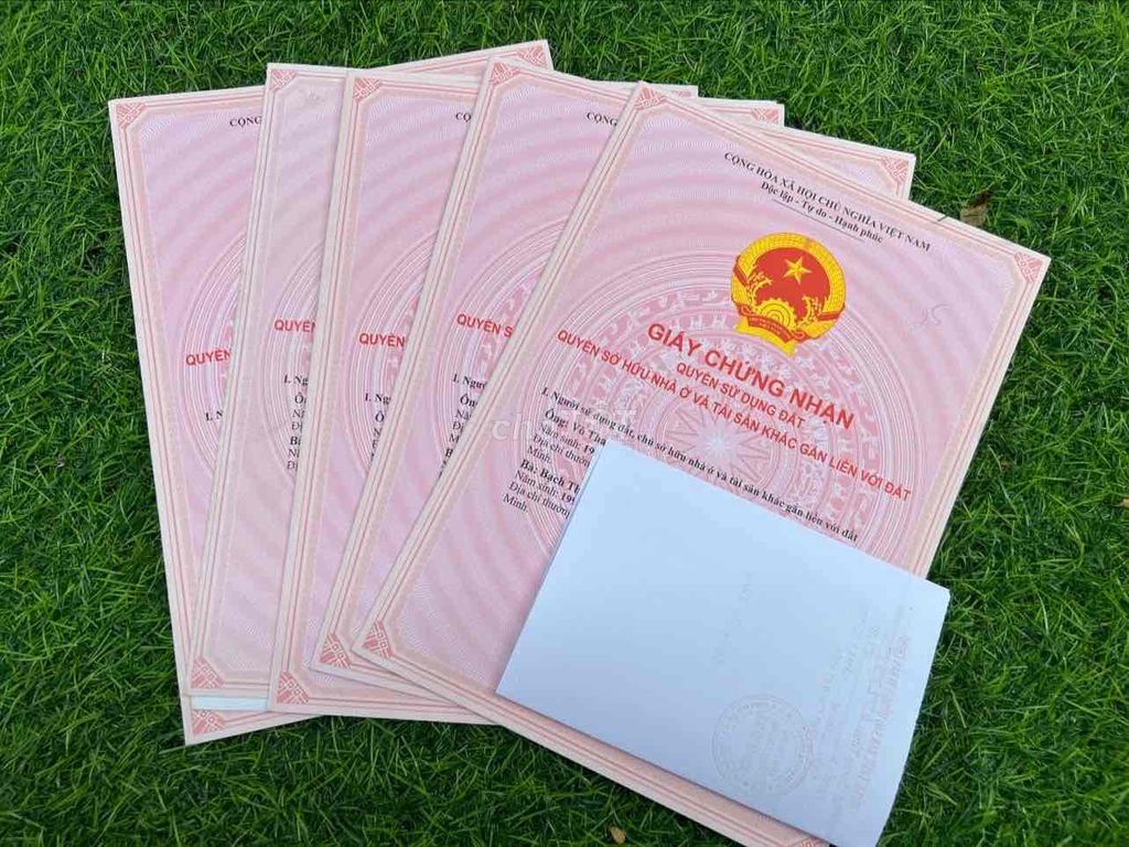 4066668 ảnh đại diện 2