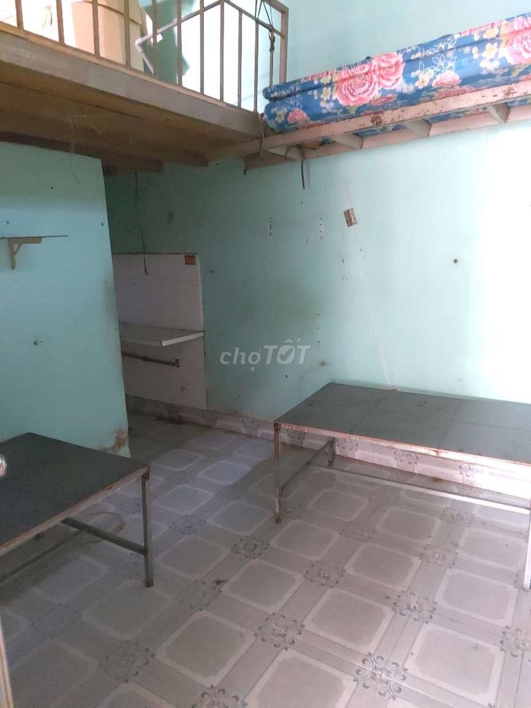 4069632 ảnh đại diện 2