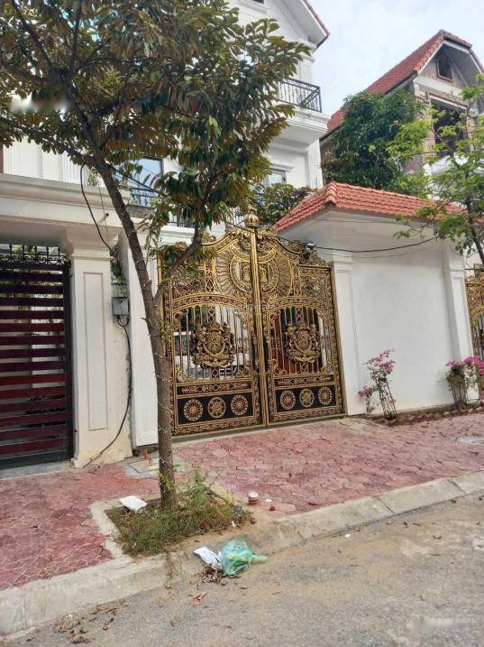 4065633 ảnh đại diện 1