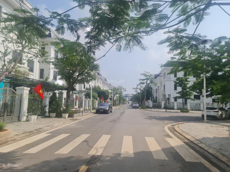 4069630 ảnh đại diện 2