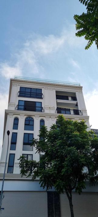 4070361 ảnh đại diện 2