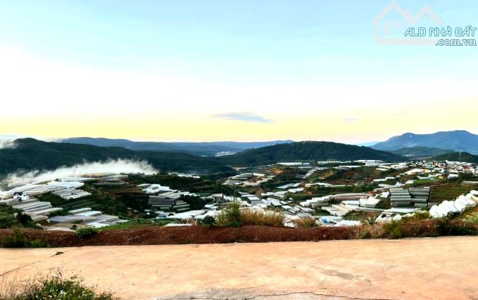 4067724 ảnh đại diện 2