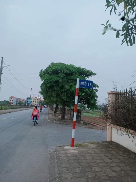 4066251 ảnh đại diện 1