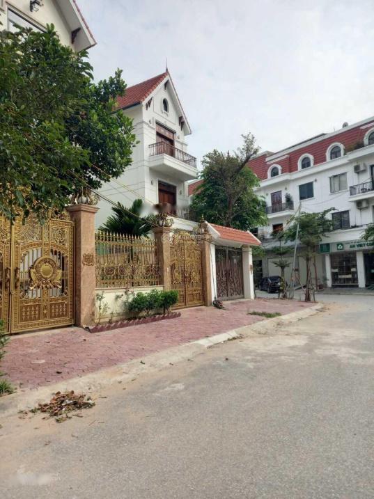 4065633 ảnh đại diện 1