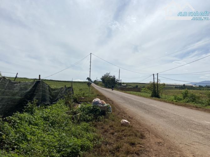 4067726 ảnh đại diện 1