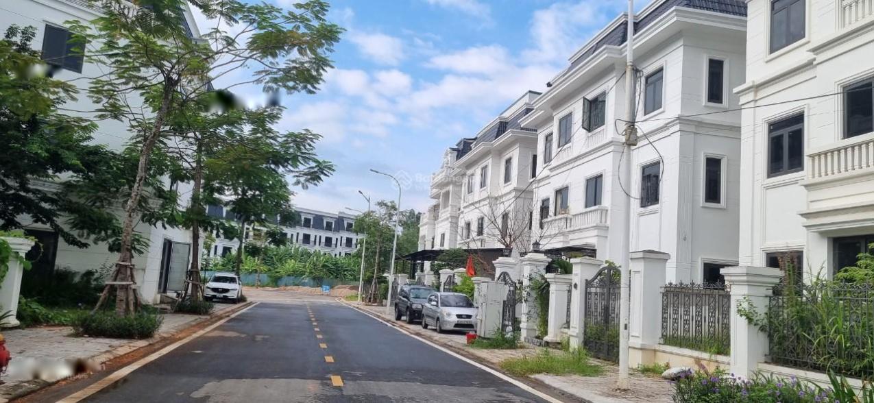 4069624 ảnh đại diện 2