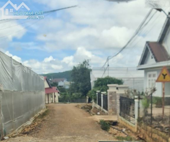 4067720 ảnh đại diện 1