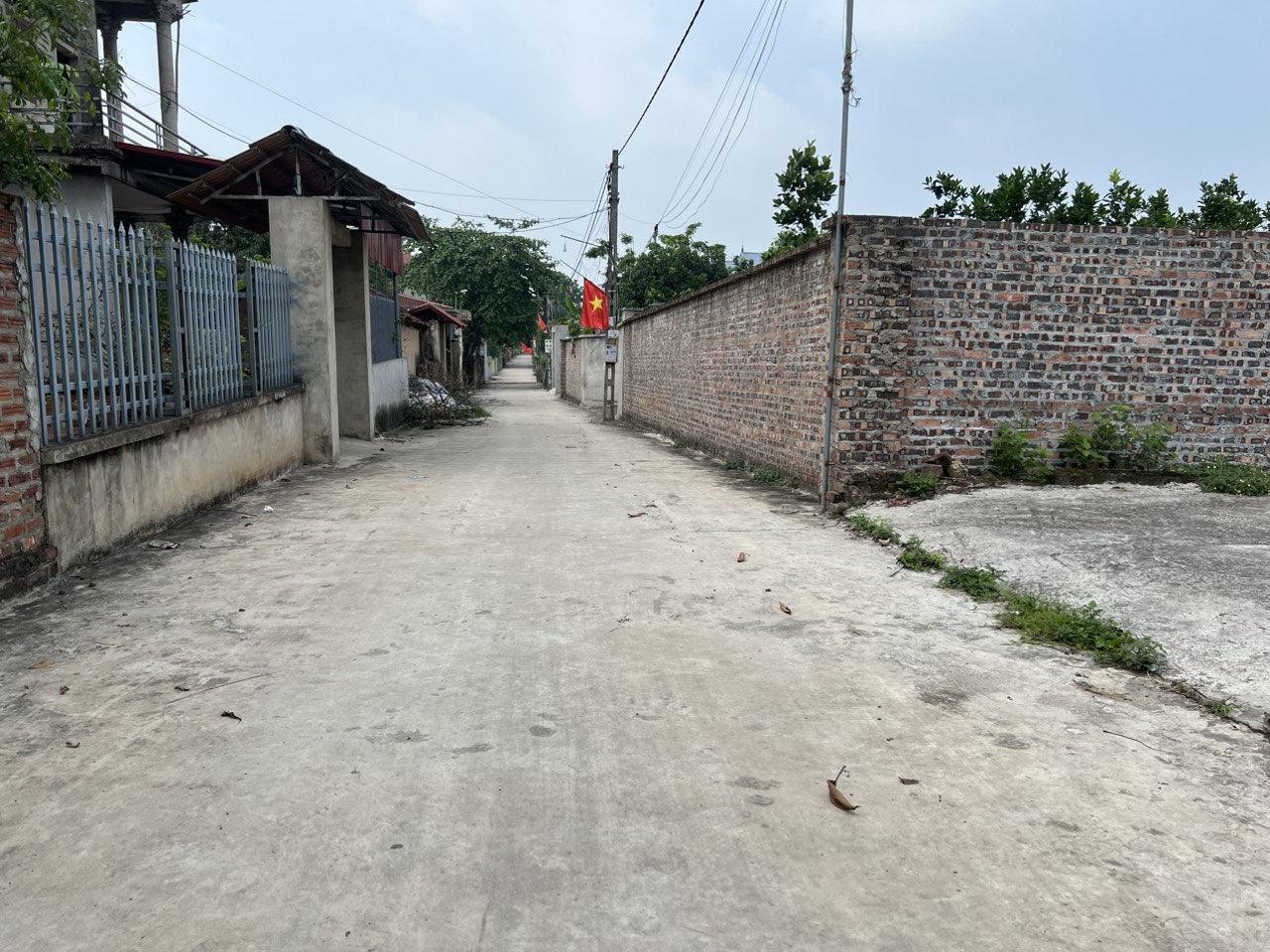 4073738 ảnh đại diện 1