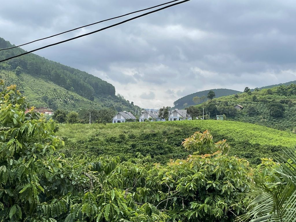 4072233 ảnh đại diện 1