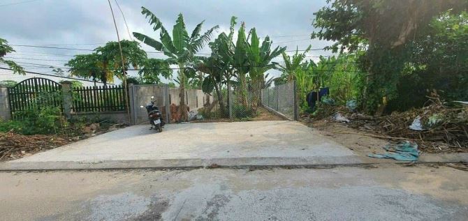 4071498 ảnh đại diện 2