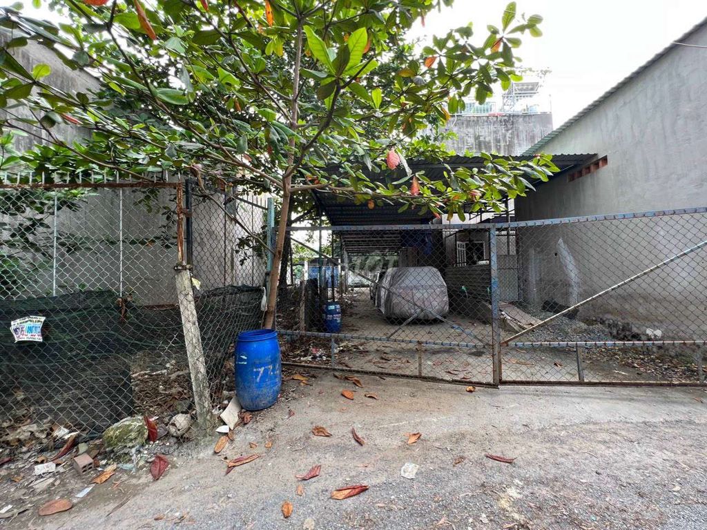 4070956 ảnh đại diện 2