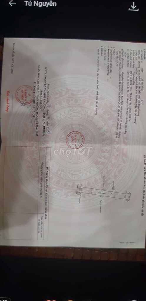 4071991 ảnh đại diện 2