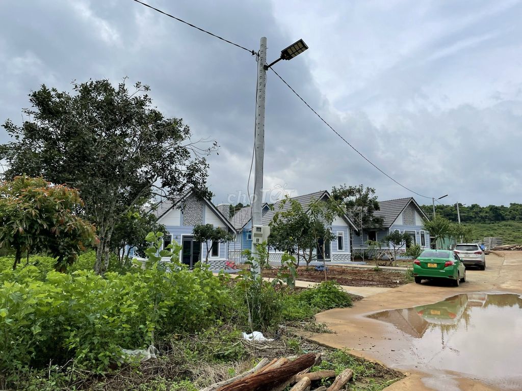 4072233 ảnh đại diện 1