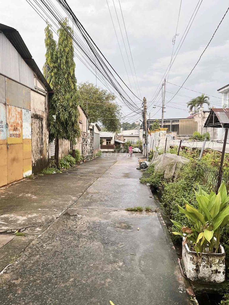 4072701 ảnh đại diện 1