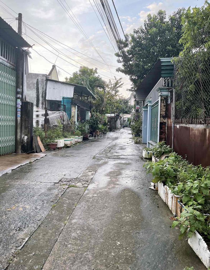 4072701 ảnh đại diện 1