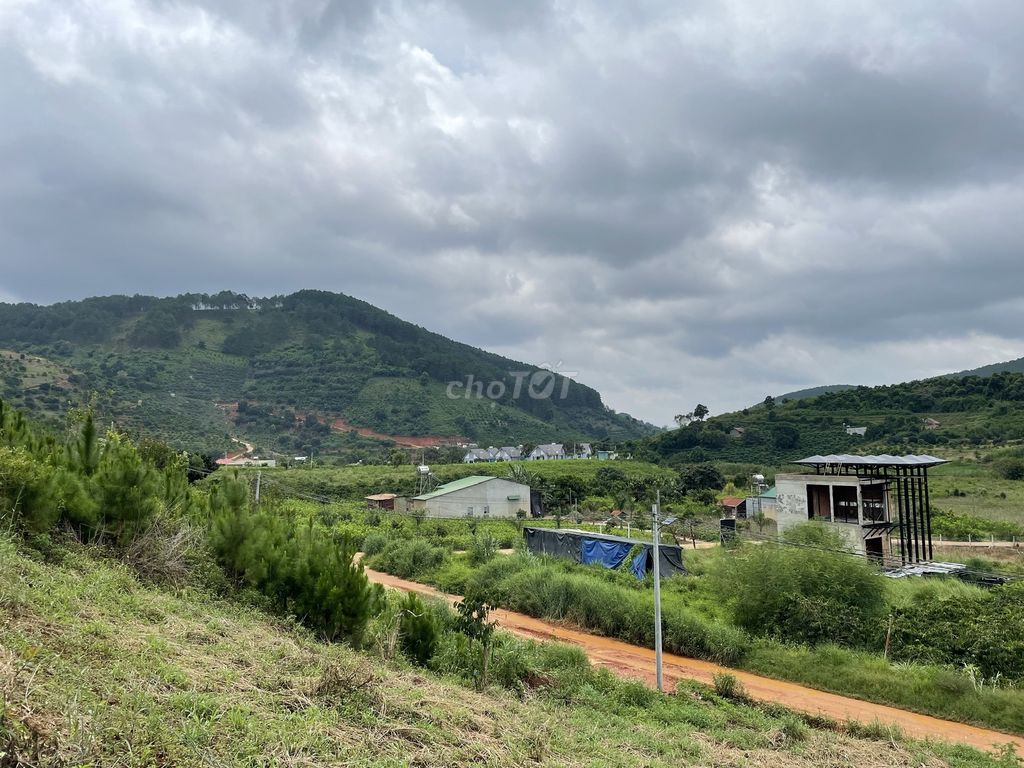 4072233 ảnh đại diện 2