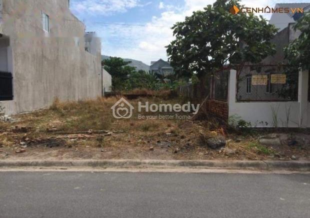 4074512 ảnh đại diện 1