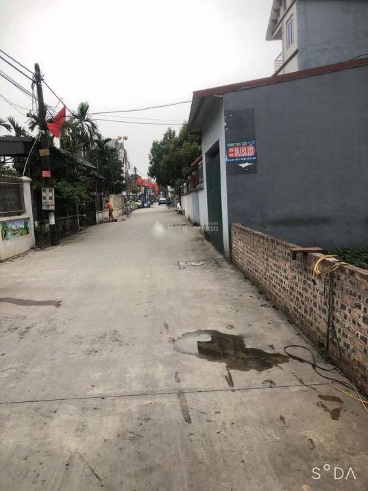 4070865 ảnh đại diện 1