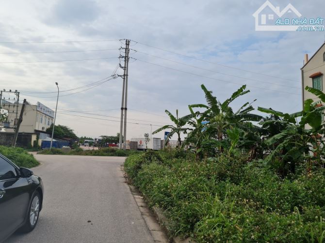 4070980 ảnh đại diện 2