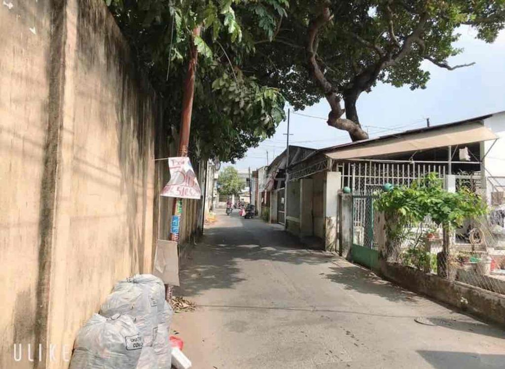 4074689 ảnh đại diện 2