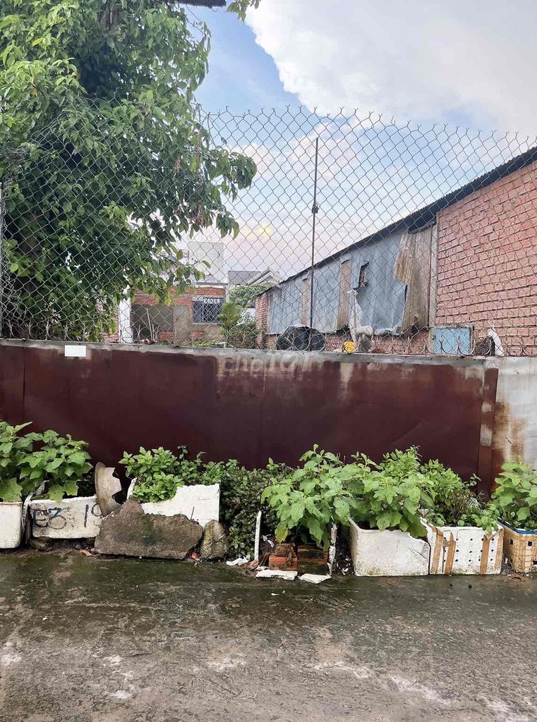 4072701 ảnh đại diện 2