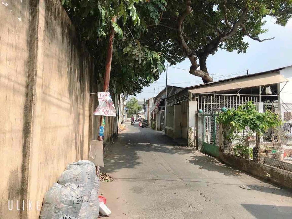 4074689 ảnh đại diện 1