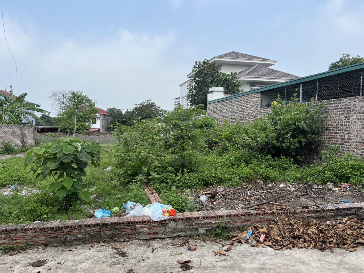 4073738 ảnh đại diện 1