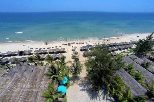 4074631 ảnh đại diện 1