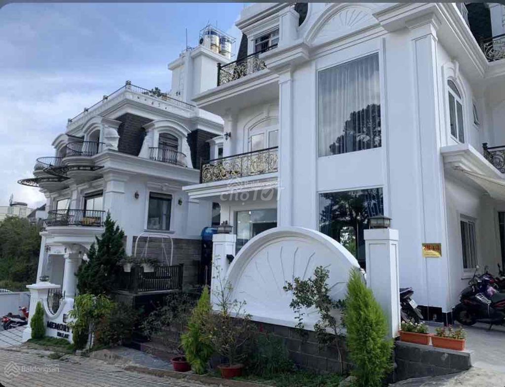 4072228 ảnh đại diện 2