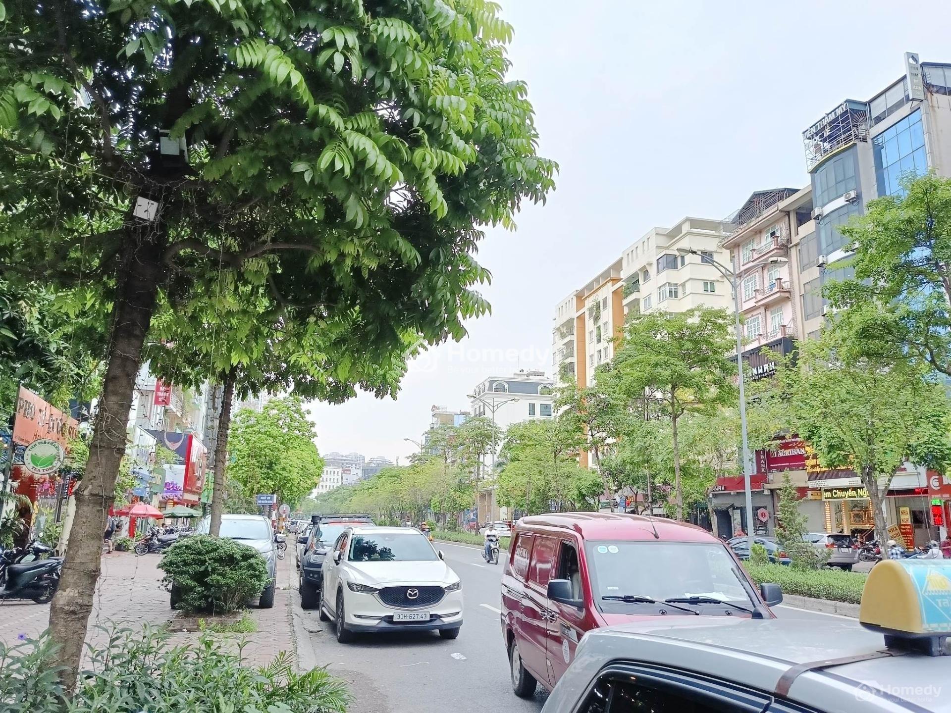 4075006 ảnh đại diện 2