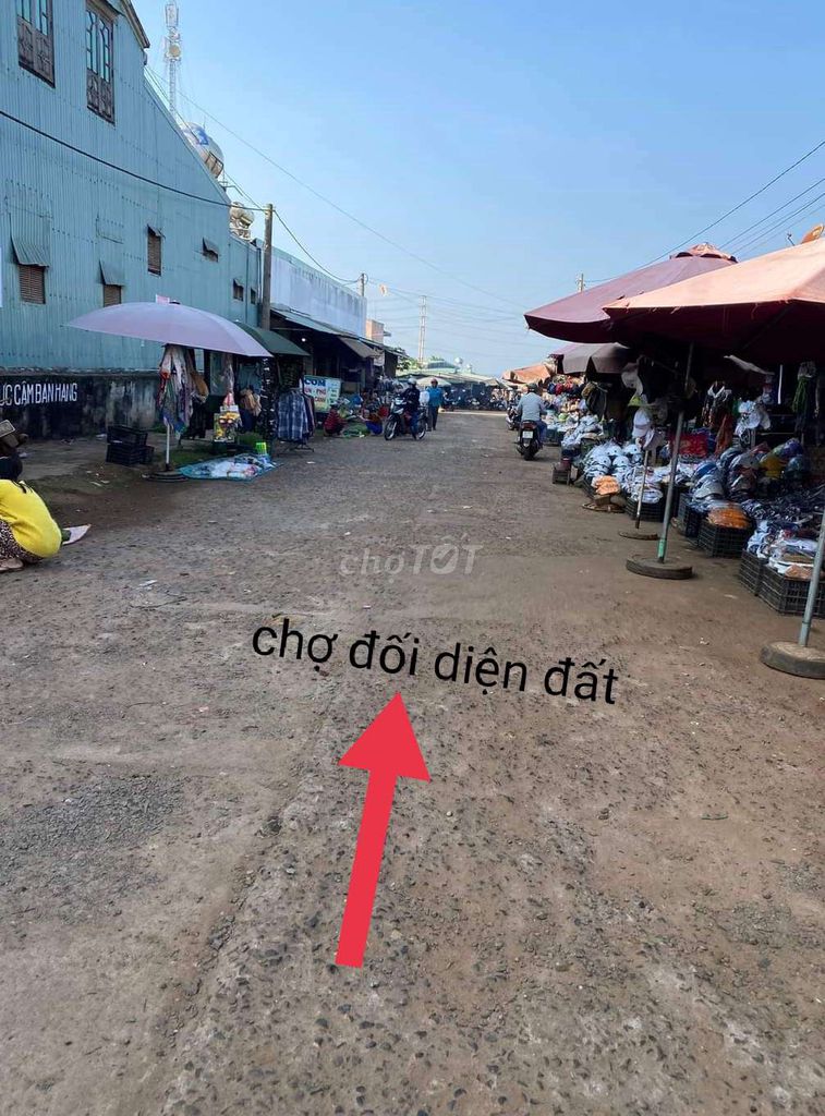 4079011 ảnh đại diện 2