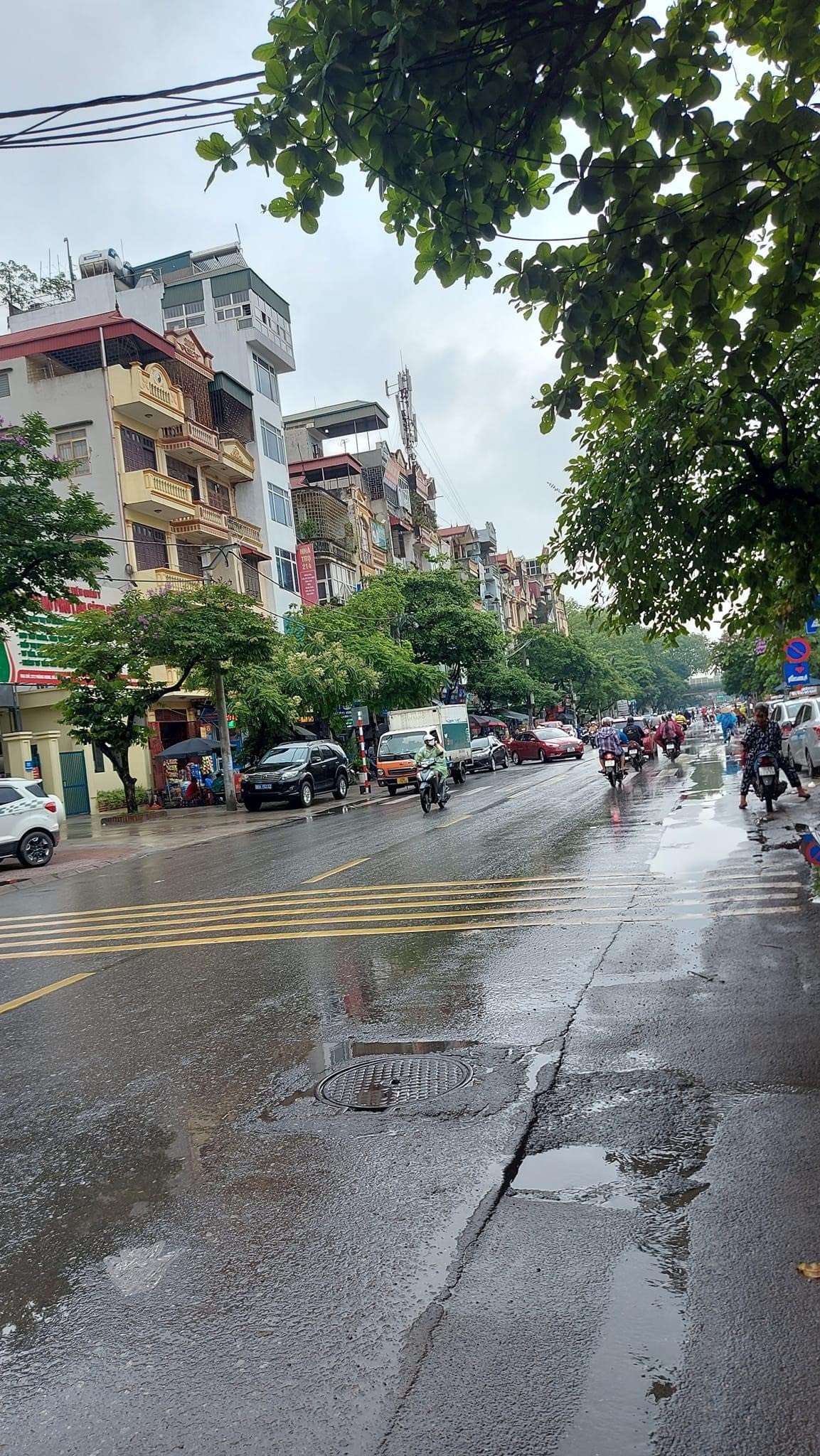 4076681 ảnh đại diện 1
