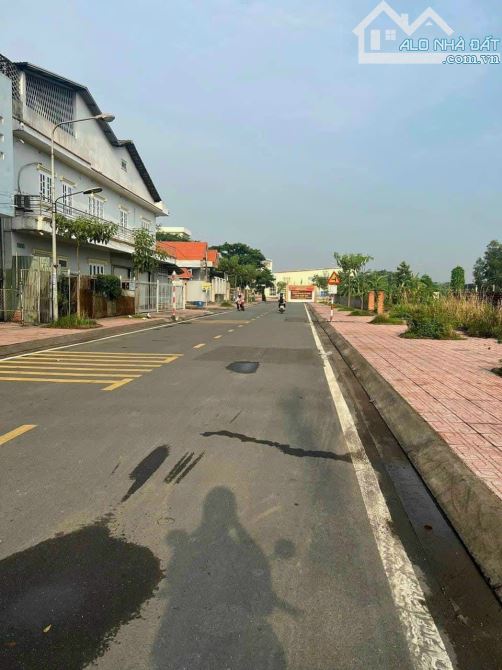 4076002 ảnh đại diện 1