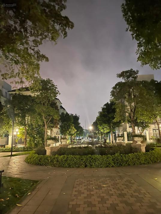 4077607 ảnh đại diện 1