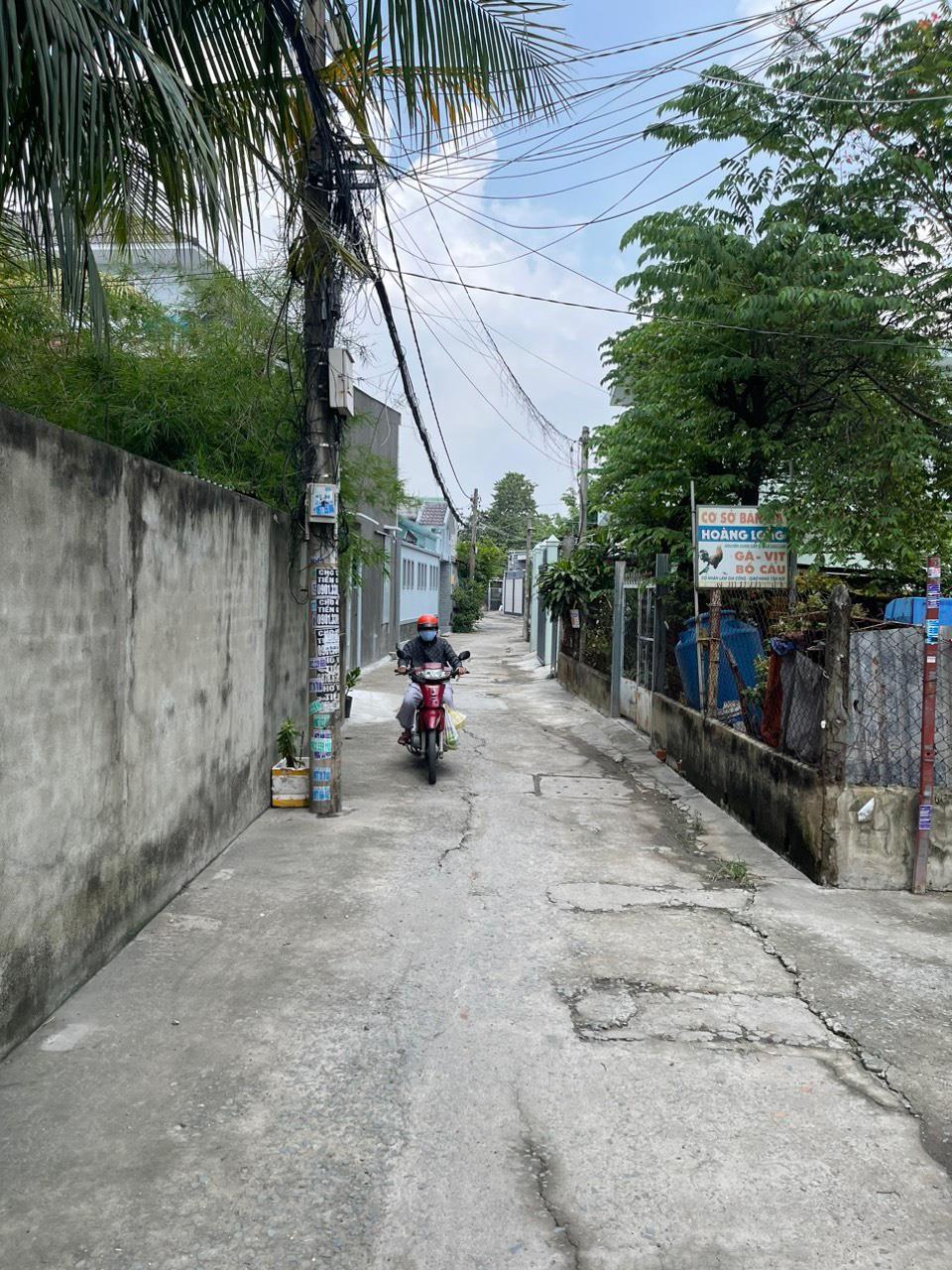 4077549 ảnh đại diện 2