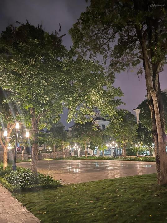4077607 ảnh đại diện 2
