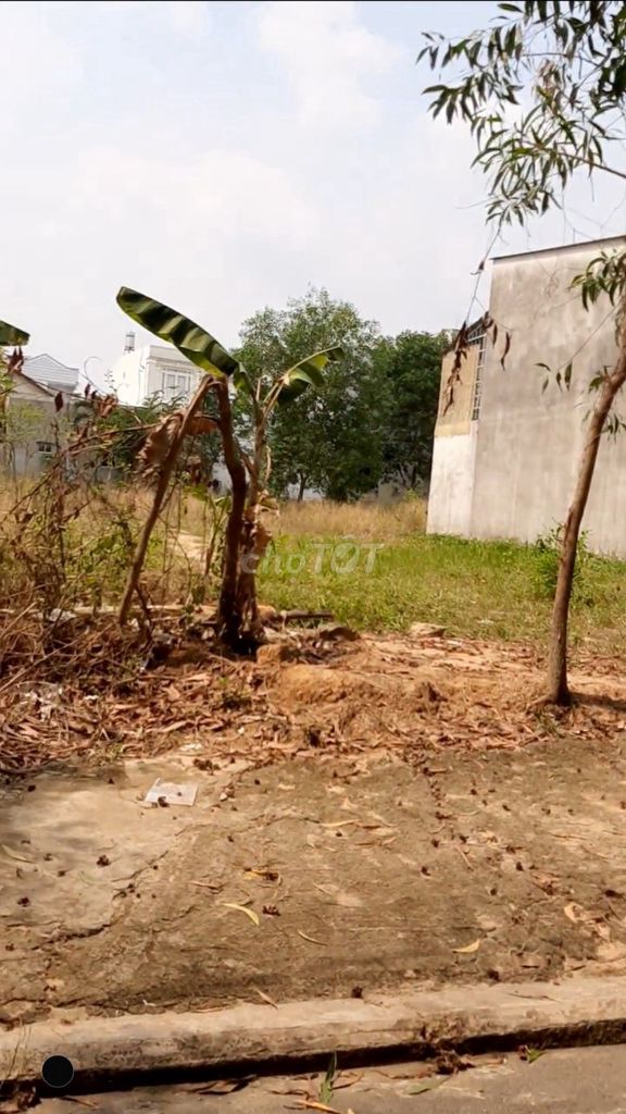 4079019 ảnh đại diện 1